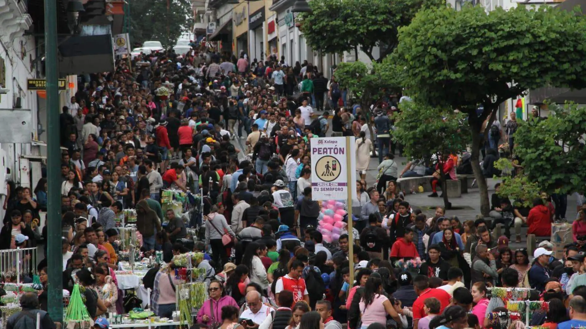 Reliquias de San Judas Tadeo en Xalapa